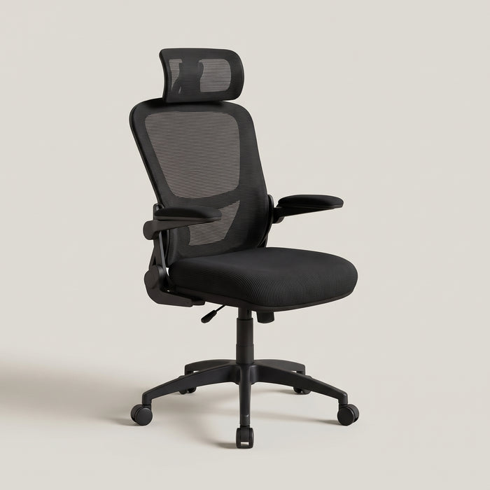 Chaise Ergonomique
